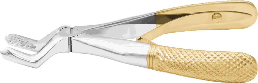 14.3-Klein Upper molar - Individual - Gold Plated - paediatric -Product pic.webp