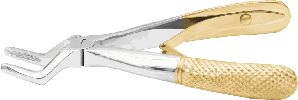 14.4-Klein upper roots - Individual - Gold Plated - paediatric -Product pic.webp