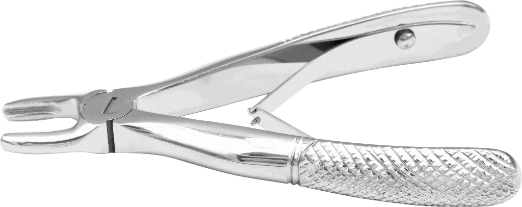 13.1-Upper incisors & Canines - Individual - Standard - paediatric -Product pic.webp