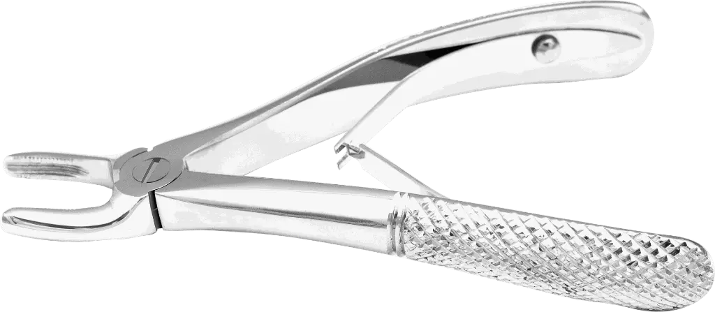 13.2-Klein upper premolar - Individual - Standard - paediatric -Product pic.webp