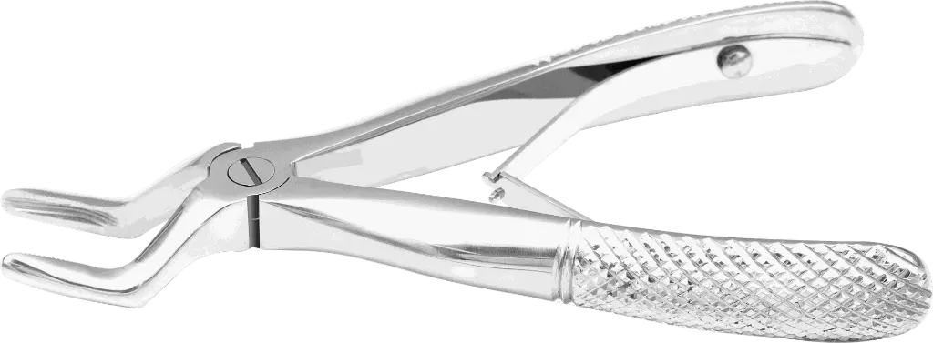 13.4-Klein upper roots - Individual - Standard - paediatric -Product pic.webp