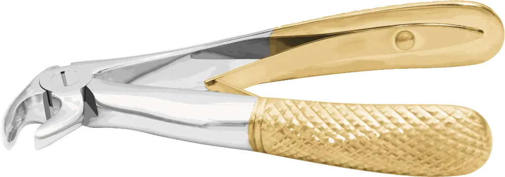 14.7-Klein Lower roots - Individual - Gold plated - paediatric -Product pic.webp