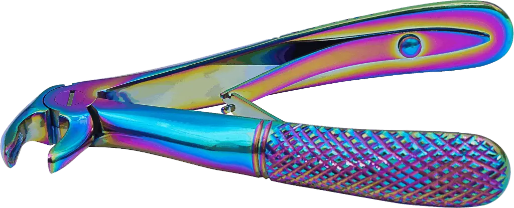 15.5-Lower incisors & Canines - Individual - rainbow - paediatric -Product pic.webp