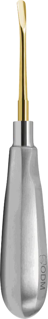 17.2-Root Elevator Luxator  5mm Straight - Gold plated - Adult- product pic.webp