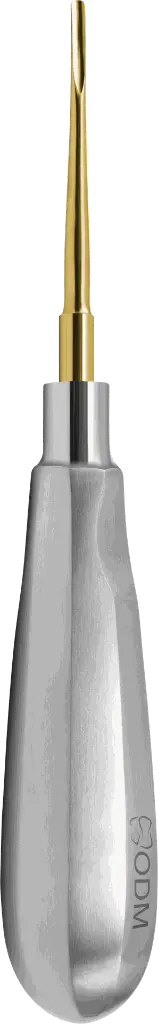 17.3-Root Elevator Luxator  2mm Slightly Curved Outward - Gold plated -Adult- product pic.webp