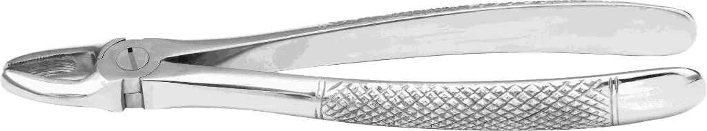 9.1-Upper incisors & Canines - Individual - Standard -Product pic.webp