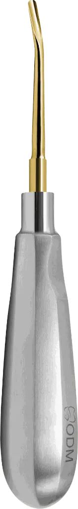 17.4-Root Elevator Luxator  3mm Slightly Curved Outward - Gold plated - Adult- product pic .webp