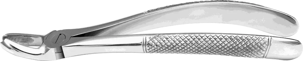 9.4-Upper Molars, Left - Individual - Standard-product pic.webp