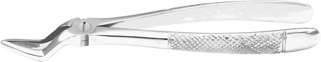 9.6-Upper Roots - Individual -Standard- Product pic.webp