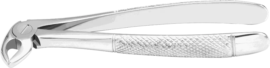 9.7-Lower incisor & Canine - Individual - Standard- Product pic.webp