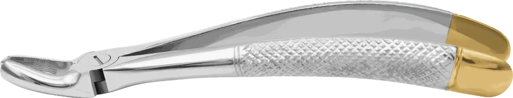 10.3-Upper Molars, Right - Individual - Gold Plated- product pic.webp