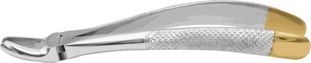 10.4-Upper Molars, Left - Individual - Gold Plated -product pic.webp