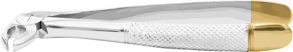 10.8-Lower Premolars - Individual - Gold Plated-Product pic.webp