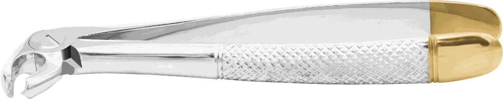 10.9-Lower Molars - Individual - Gold Plated-Product pic.webp