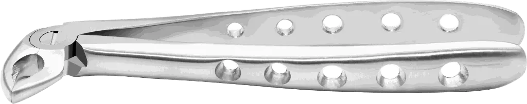 11.7-Lower incisor & Canine - Individual - Anatomical Handle-product pic.webp