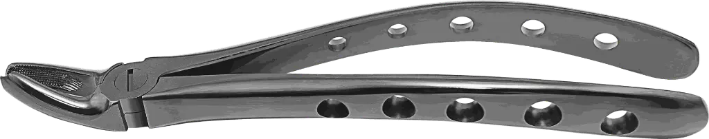 12.3-Upper Molars, Right - Individual - Plasma Black-product pic.webp