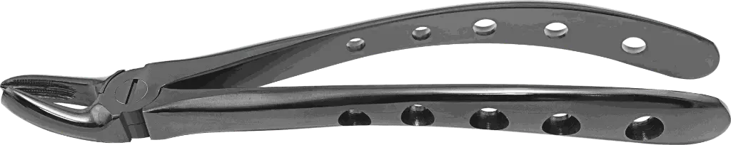 12.4-Upper Molars, Left - Individual - Plasma Black-product pic..webp