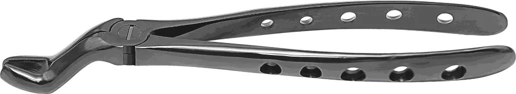 12.5-Upper Third Molars - Individual - Plasma Black-product pic.webp