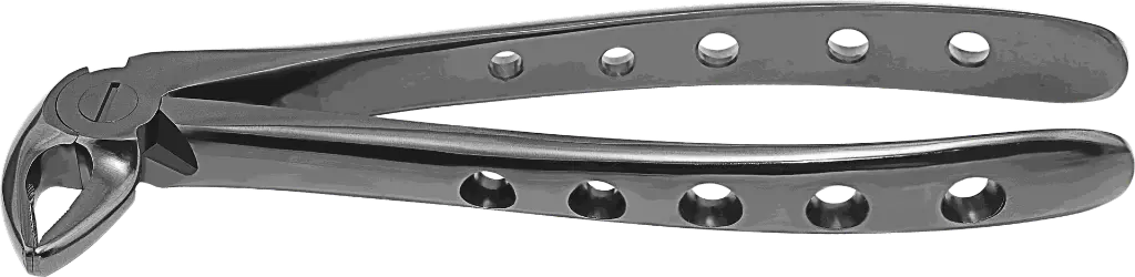 12.7-Lower incisor & Canine - Individual - Plasma Black-product pic.webp