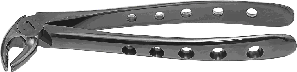 12.8-Lower Premolars - Individual - Plasma Black-product pic.webp
