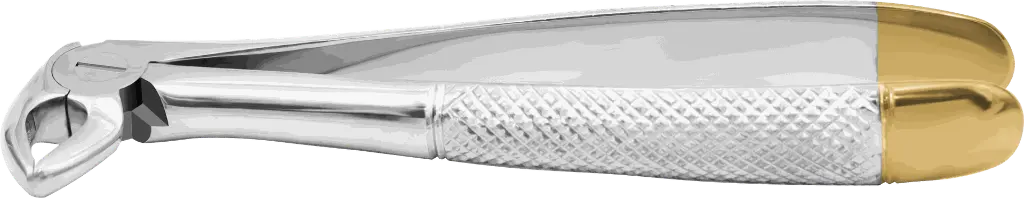 10.7-Lower incisor & Canine - Individual -Gold Plated-product pic.webp