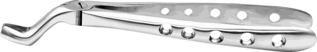 11.5-Upper Third Molars - Individual -Anatomical Handle - Product pic.webp