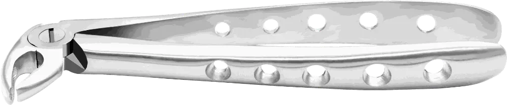 11.8-Lower Premolars - Individual - Anatomical Handle product pic.webp