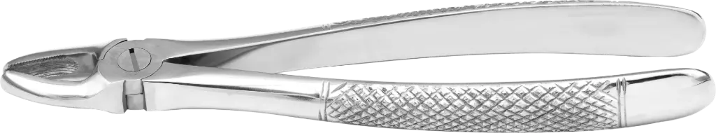 Upper incisors & Canines - Individual - Standard