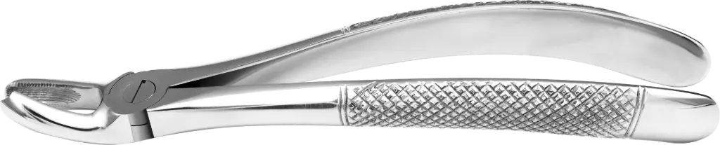 Upper Molars, Left - Individual - Standard