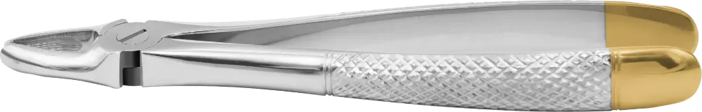 Upper incisors & Canines - Individual - Gold Plated