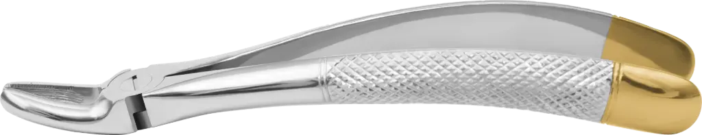 Upper Premolars - Individual - Gold Plated