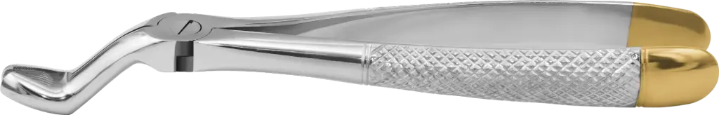 Upper Third Molars - Individual - Gold Plated