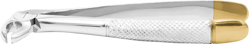 Lower Premolars - Individual - Gold Plated