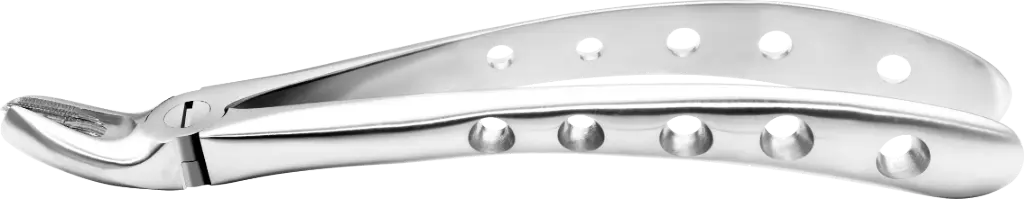 Upper Molars, Left - Individual - Anatomical Handle