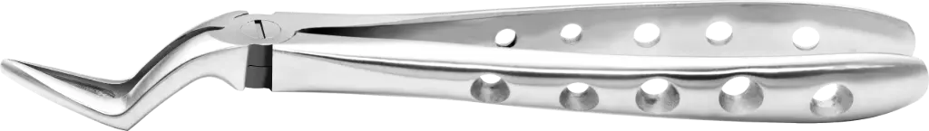 Upper Roots - Individual - Anatomical Handle