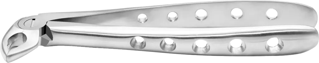 Lower incisor & Canine - Individual - Anatomical Handle