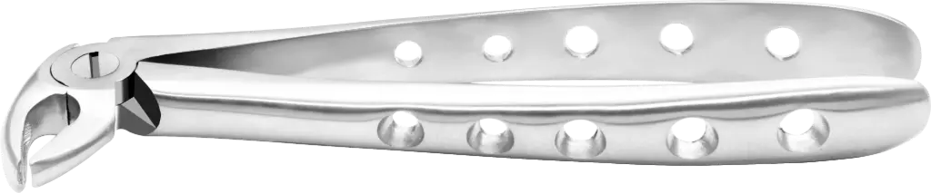 Lower Premolars - Individual - Anatomical Handle