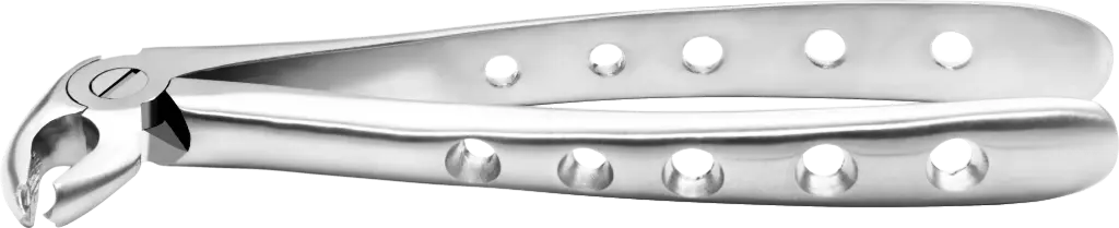 Lower Molars - Individual - Anatomical Handle