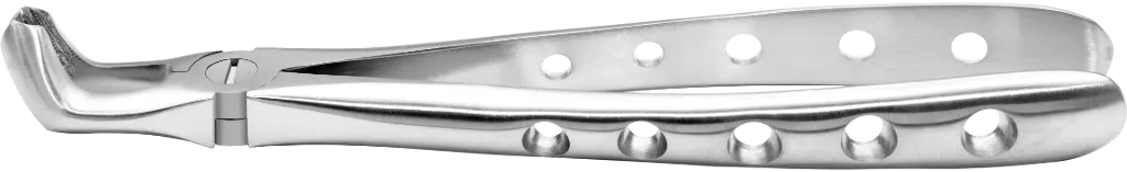 Lower Roots - Individual - Anatomical Handle