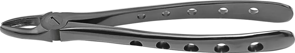 Upper incisors & Canines - Individual -Plasma Black