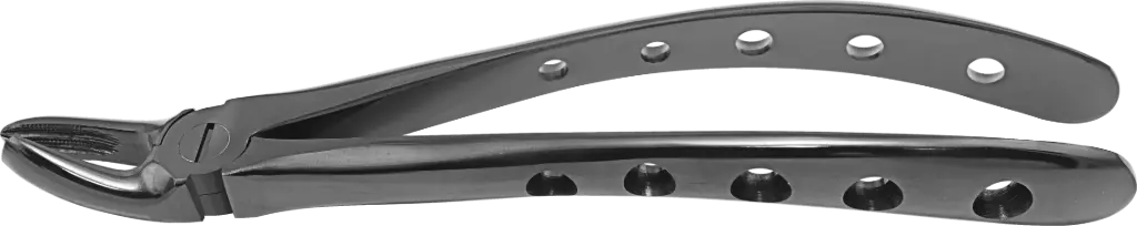 Upper Molars, Left - Individual - Plasma Black