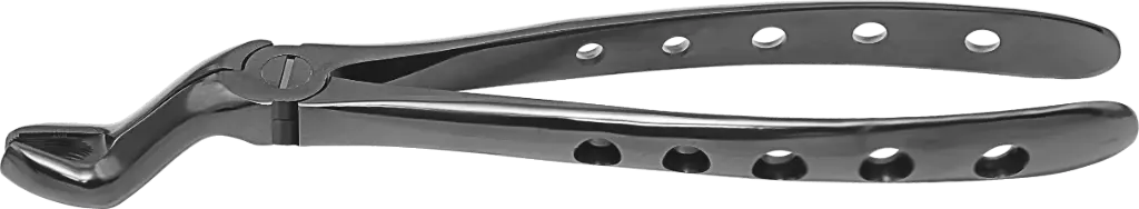 Upper Third Molars - Individual - Plasma Black