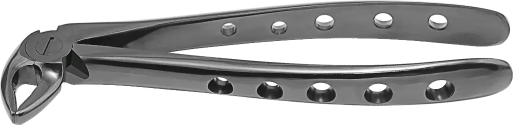 Lower incisor & Canine - Individual - Plasma Black