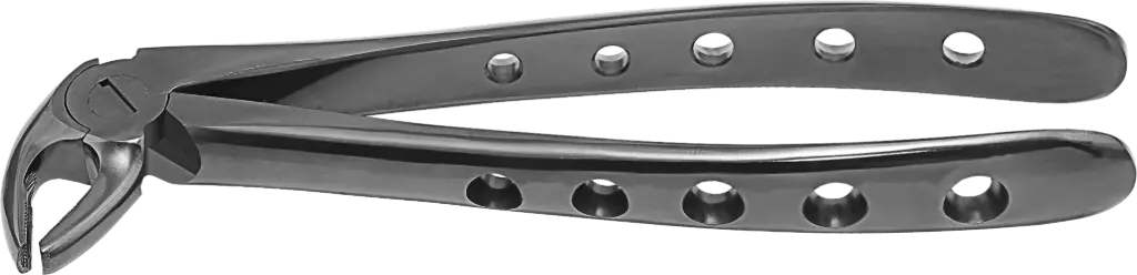Lower Premolars - Individual - Plasma Black