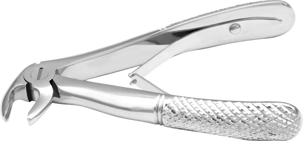 Klein lower roots- Individual - Standard - Paediatric