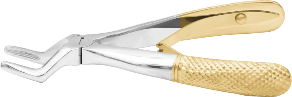 Klein upper roots- Individual - Gold Plated - Paediatric