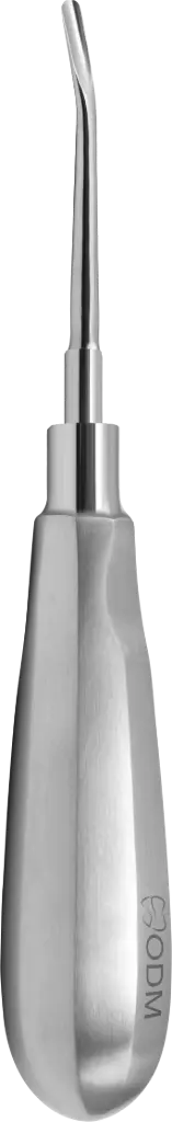 Root Elevator Luxator  3mm Slightly Curved Outward - standard - Adult