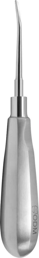 Root Elevator Luxator  5mm Slightly Curved outward - standard - Adult