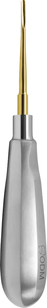 Root Elevator Luxator  2mm Slightly Curved Outward - Gold plated - Adult