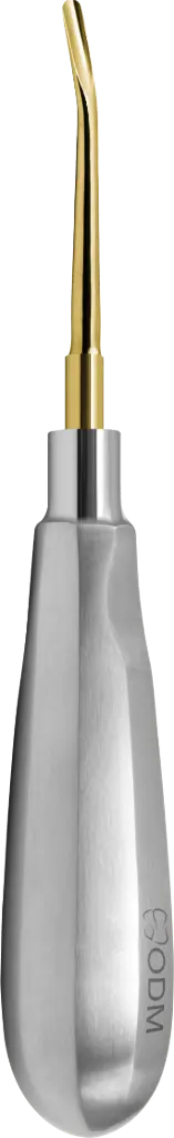 Root Elevator Luxator  3mm Slightly Curved Outward - Gold plated - Adult